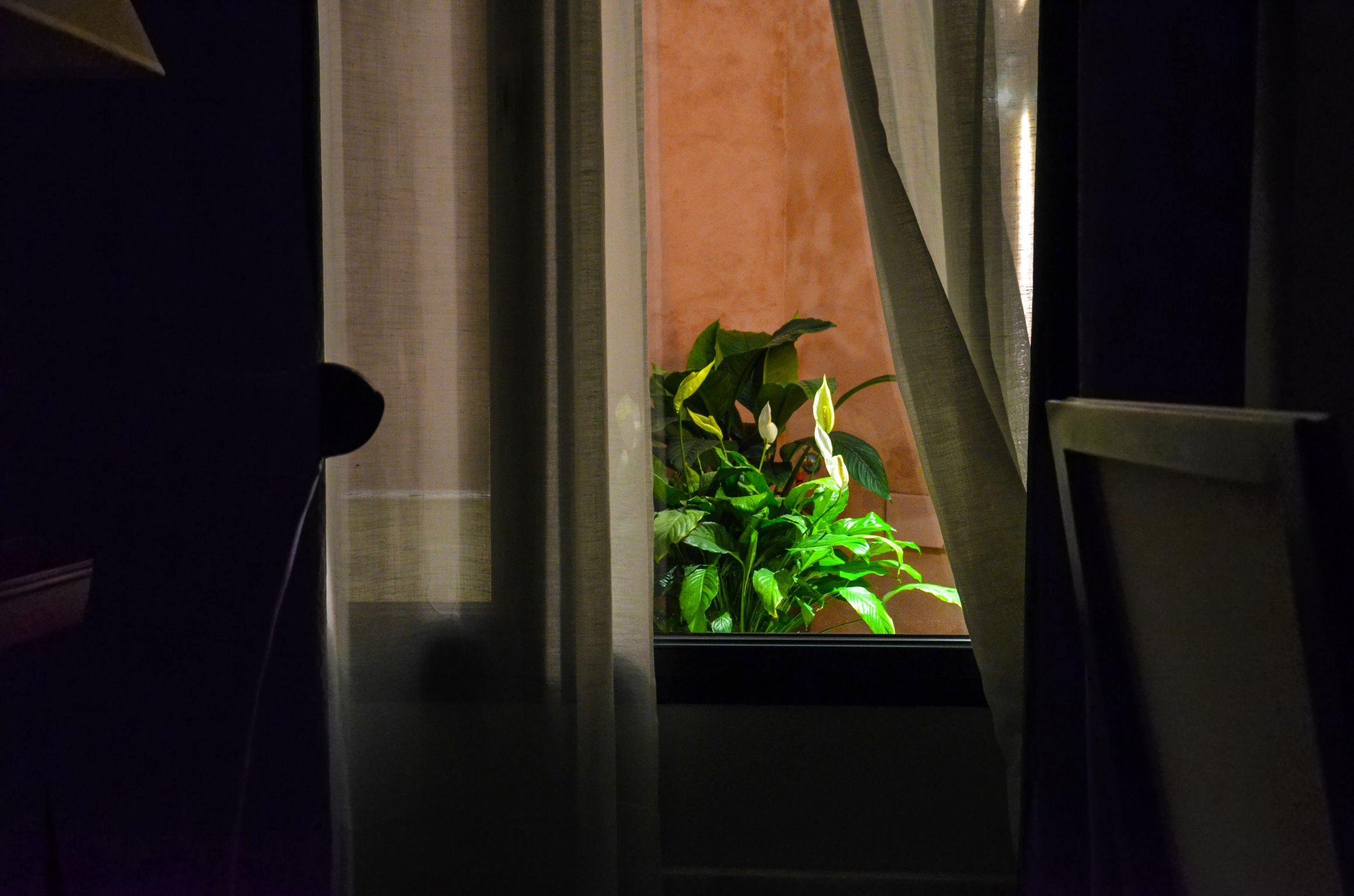 Aguilas5 SevillaSuites Dış mekan fotoğraf