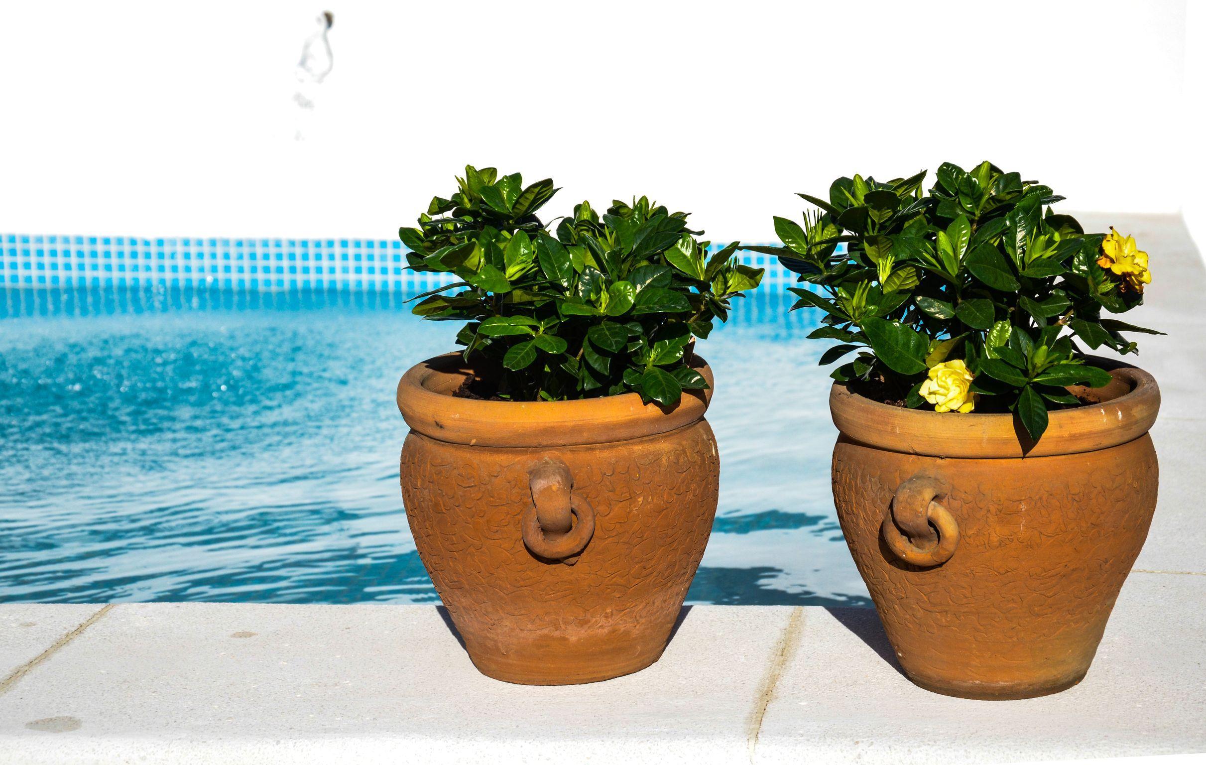 Aguilas5 SevillaSuites Dış mekan fotoğraf